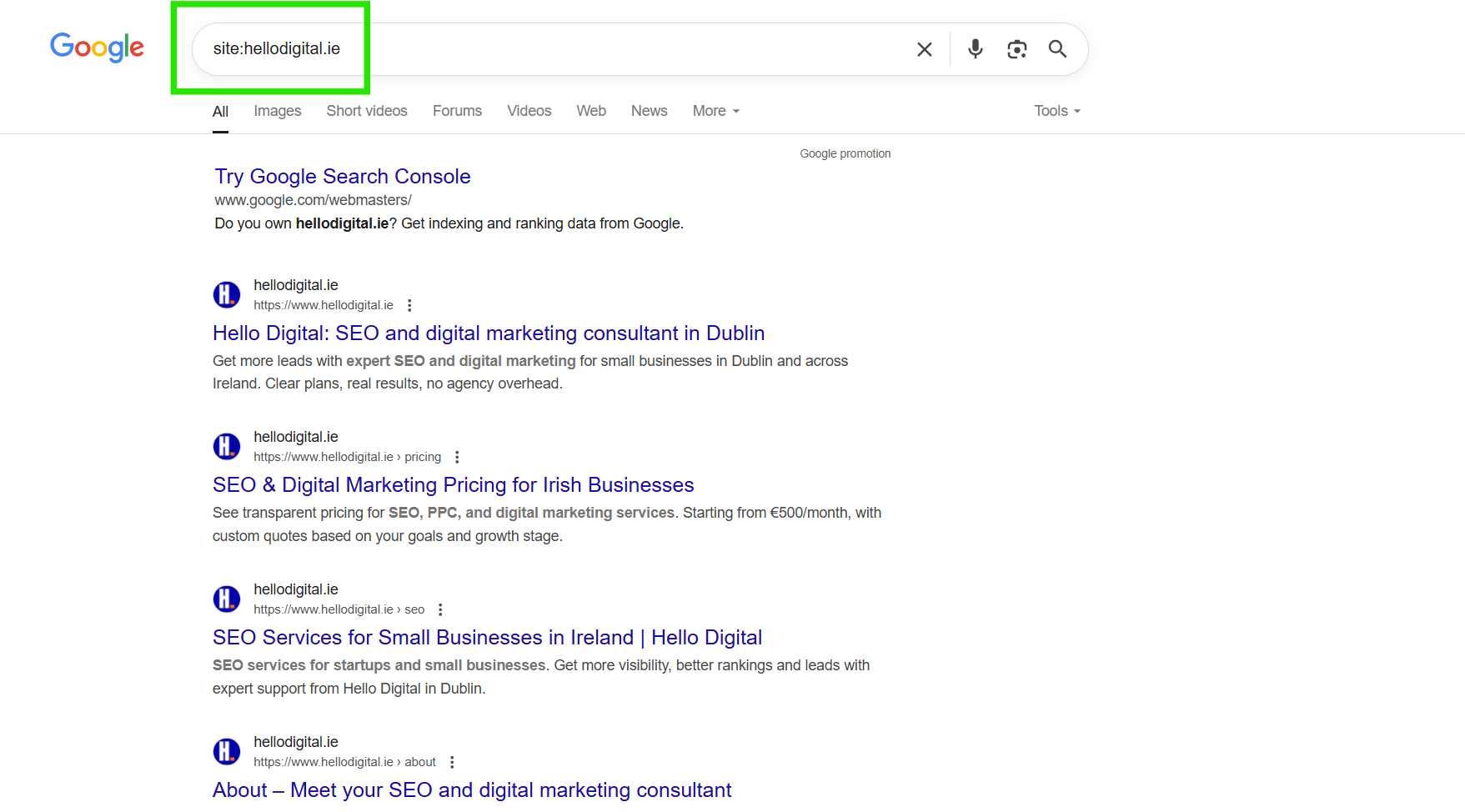 google site search operator